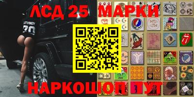 ALPHA PVP Камышлов