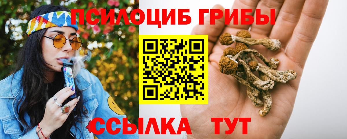 наркошоп  Псилоцибиновые грибы Cubensis  Вход с VPN  Дагестанские Огни 