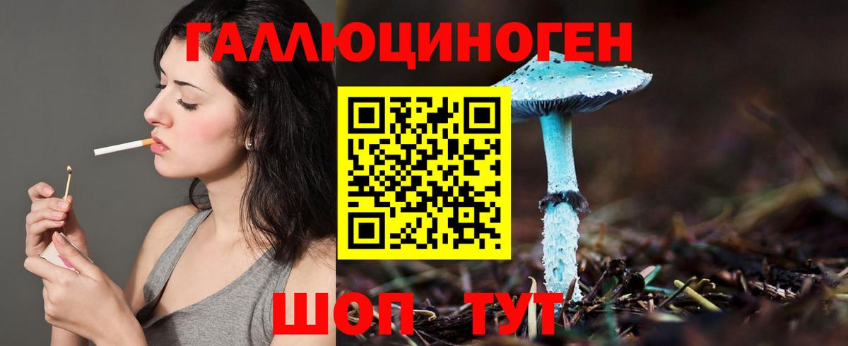 Галлюциногенные грибы мухоморы Дагестанские Огни